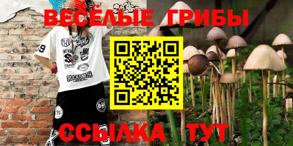 Псилоцибиновые грибы прущие грибы Семёнов